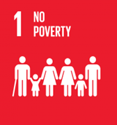 SDG 1