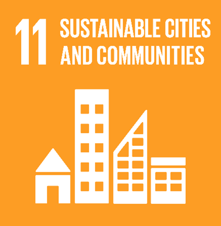 SDG 11