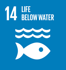 SDG 14